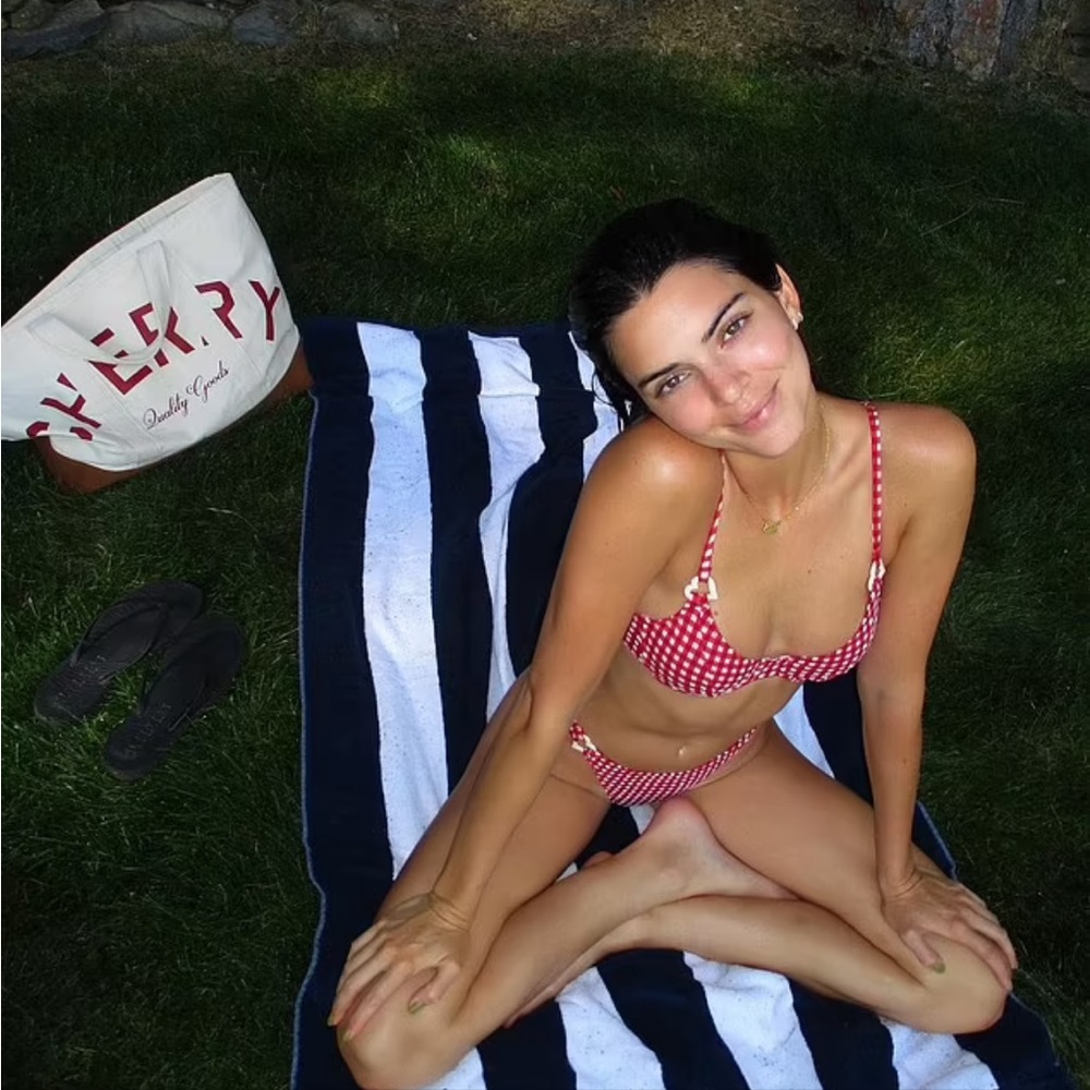BRAND NEW Kendall Jenner famous Fruity Booty Zoe gingham heart bikini